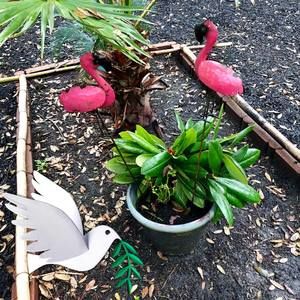 Meet your Posher, Jesse